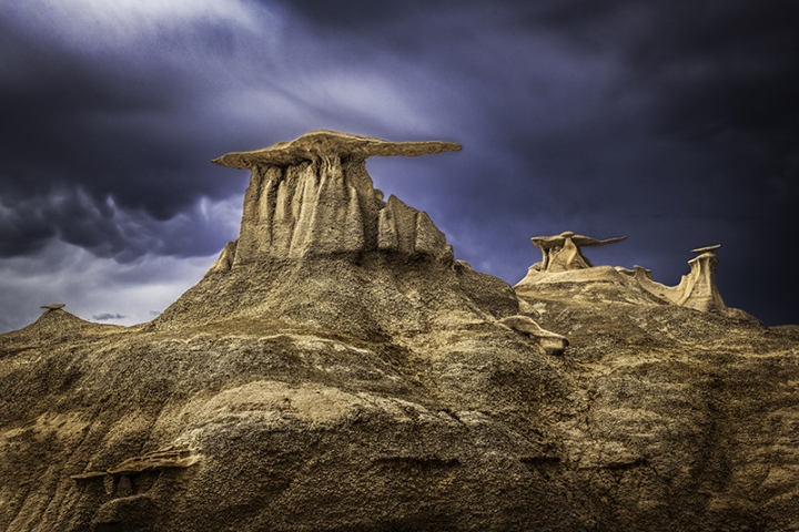 Bisti Wings
