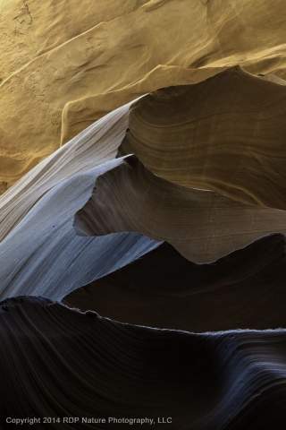 Lower Antelope