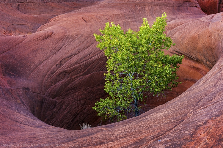 Waterpocket