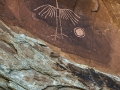 Big Crane Petroglyph
